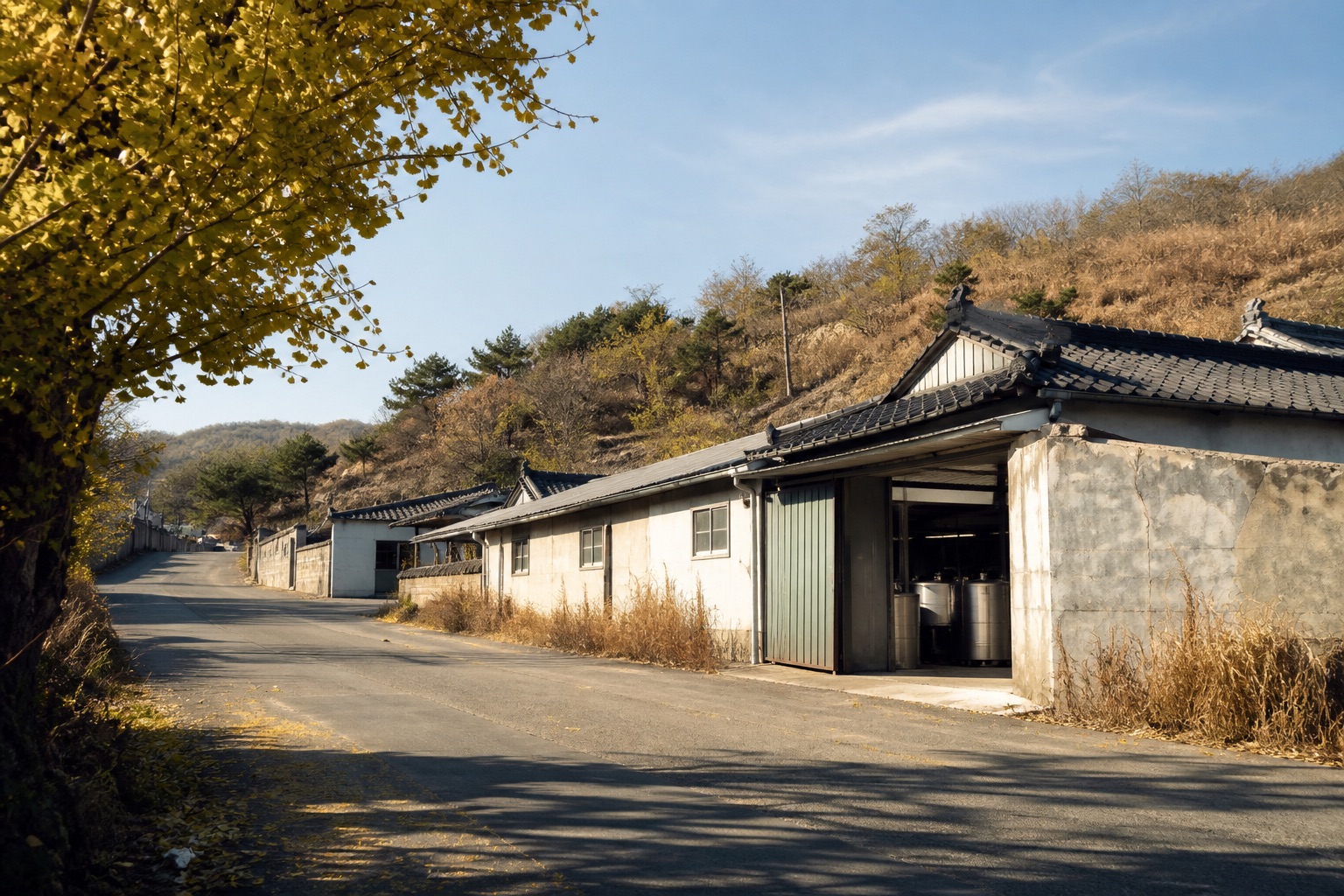 이야기 목록의 불로동 지리 카드: 햇빛 좋은 대구 외곽의 양조장 골목을 담은 편집 콘셉트 이미지